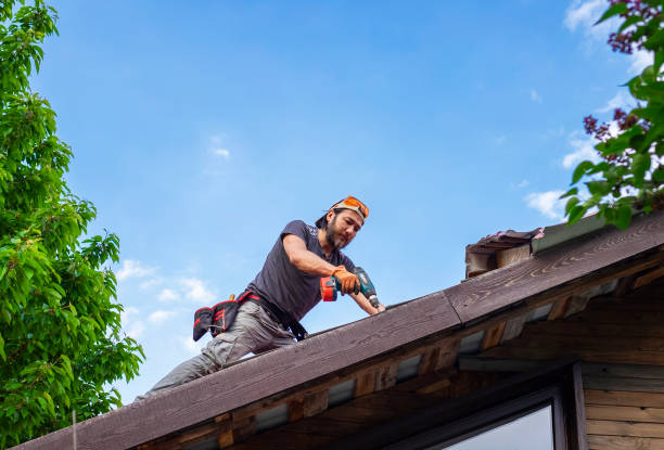 Best Green or Eco-Friendly Roofing Solutions  in Silver Springs, NV