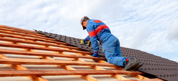 Best Gutter Installation and Repair  in Silver Springs, NV